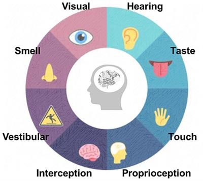 Beyond play: a comparative study of multi-sensory and traditional toys in child education